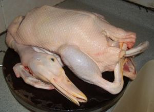 紫蘿鴨塊 紫蘿鴨塊