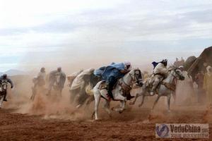 沙漠的女兒劇照（2）