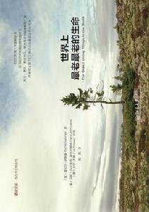 世界上最老最老的生命 世界上最老最老的生命