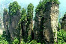 花果山國家森林公園[洛陽]