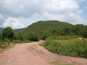 大壩地村 大壩地村