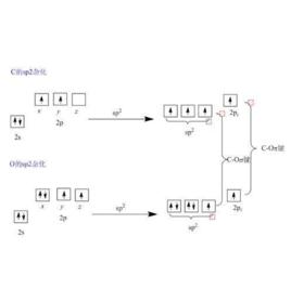 扎伊采夫規則 扎伊采夫規則