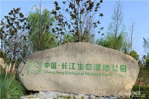 長江生態濕地公園 長江生態濕地公園