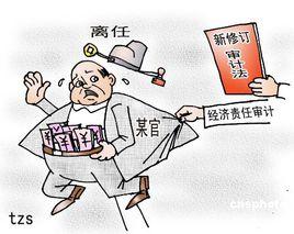 審計實施 審計實施