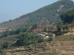 黃沙河村 黃沙河村