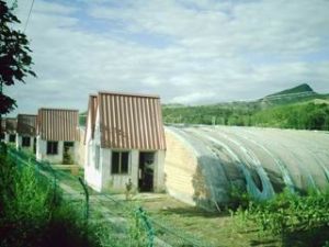 張三營農業生態科技觀光園區