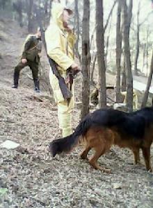 戰火搖籃 戰火搖籃