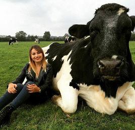 休利茨庇護所 休利茨庇護所