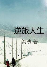 逆旅人生