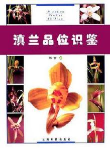 滇蘭品位識鑒 滇蘭品位識鑒