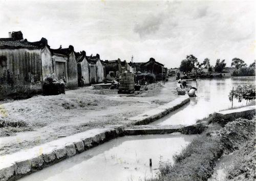 寨前的大池（攝於1980年）