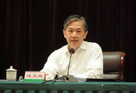 汪文斌[中華人民共和國外交部政策規劃司代司長]