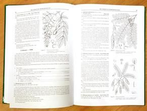 植物種志 植物種志