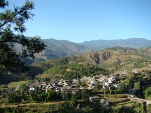 金塘自然村 金塘自然村