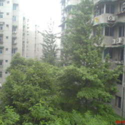 黃忠二期 黃忠二期