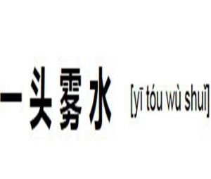 一頭霧水 一頭霧水