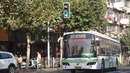 上海公交吧 上海公交吧