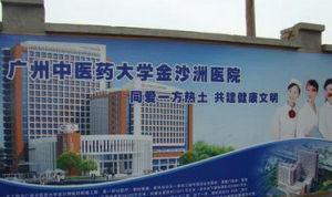 廣州中醫藥大學金沙洲醫院