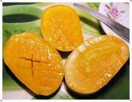 粵引台農芒果 粵引台農芒果