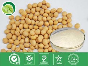 黃豆提取物 黃豆提取物