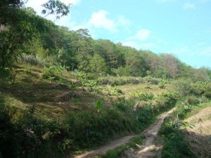 邦慶自然村 邦慶自然村