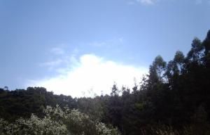 夏家溝森林公園 夏家溝森林公園