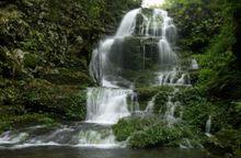 大平山動植物自然保護區