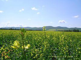 呼瑪爾窩集山 呼瑪爾窩集山