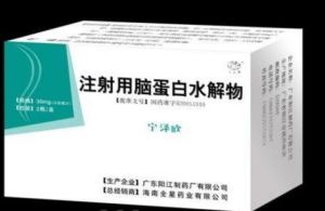 注射用腦蛋白水解物