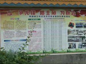 沙田村[廣西靈山縣陸屋鎮沙田村]