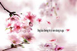 落梅[陸游詩作]