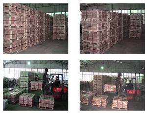 自製存貨 自製存貨