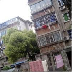 中南新村 中南新村