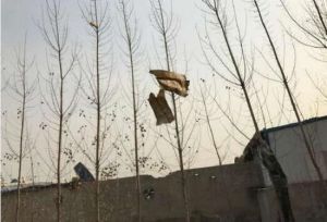 11&middot;29濟南廠房爆炸事故