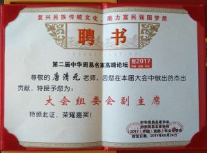 大會組委會副主席