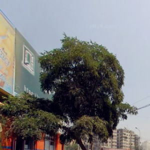 靖遠路街道 靖遠路街道