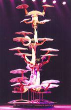 雜技[表演性節目]