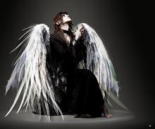 Sugizo天使造型
