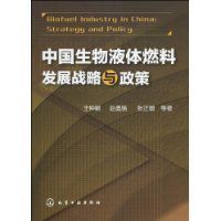 中國生物液體燃料發展戰略與政策