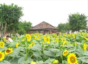 番禺東悅歡樂園農莊 番禺東悅歡樂園農莊