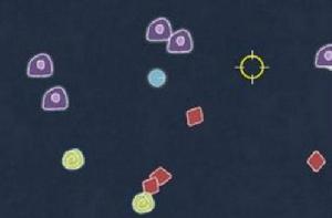 細胞分裂戰 細胞分裂戰