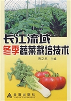 長江流域冬季蔬菜栽培技術