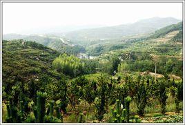 建設村[山東省煙臺市海陽鳳城街道辦事處建設村]