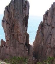 大陳島森林公園 大陳島森林公園