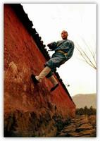 少林七十二藝 少林七十二藝