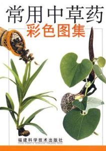 常用中草藥彩色圖集