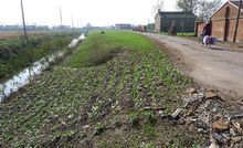 范公堤高清大圖