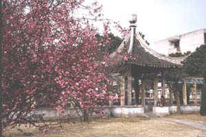 徐州建築職業技術學院