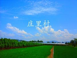 莊裡村[浙江省湖州市長興縣和平鎮下轄村]