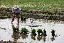 富東鎮自然風景